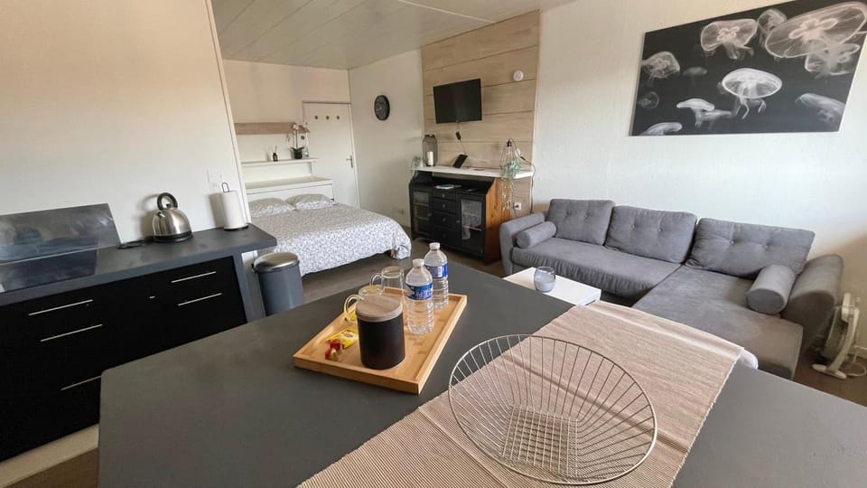 Studio Cocooning hauteur de Saint-Raphaël #2 Apartment in Saint-Raphael