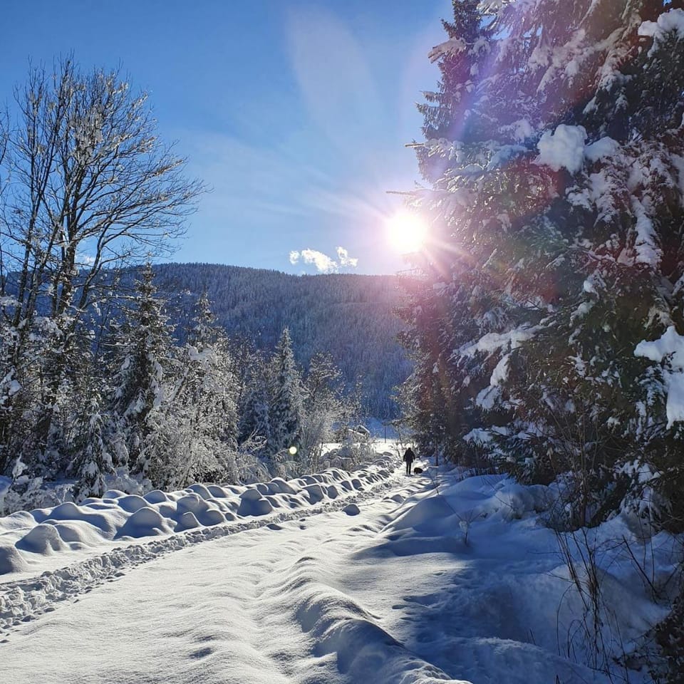 Day, Natural landscape, Winter, Mountain view