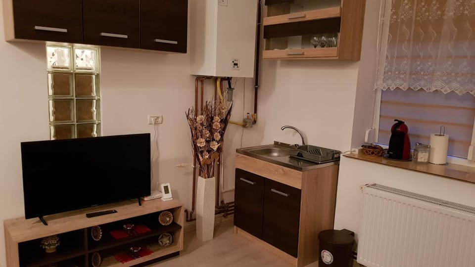 Casa Clau Apartment in Timiș County