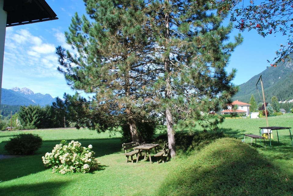 Natural landscape