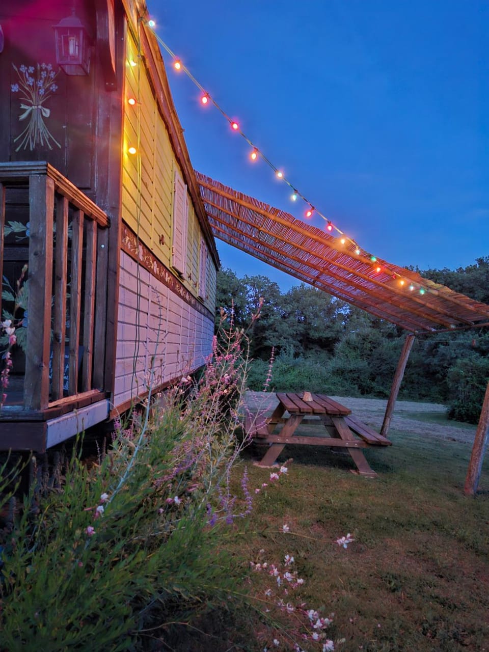Patio, Garden
