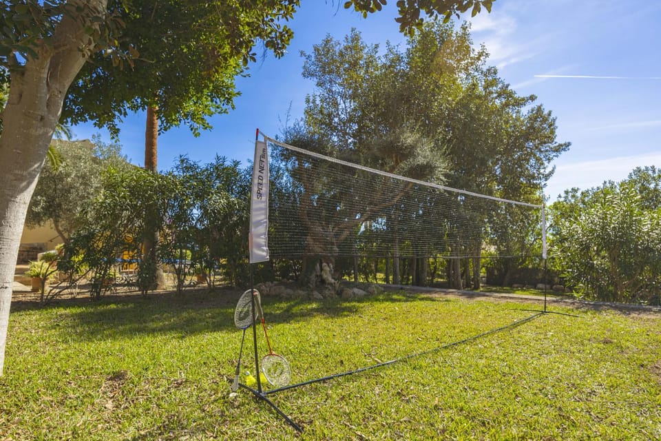 Patio, Garden, Garden view