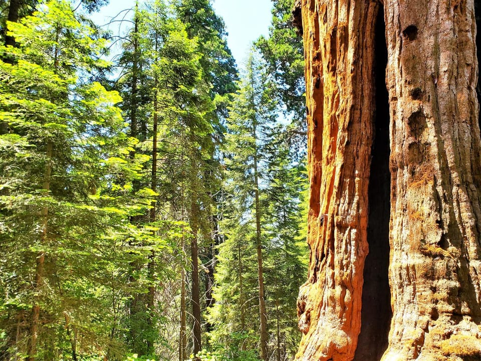 Natural landscape, Activities, Hiking