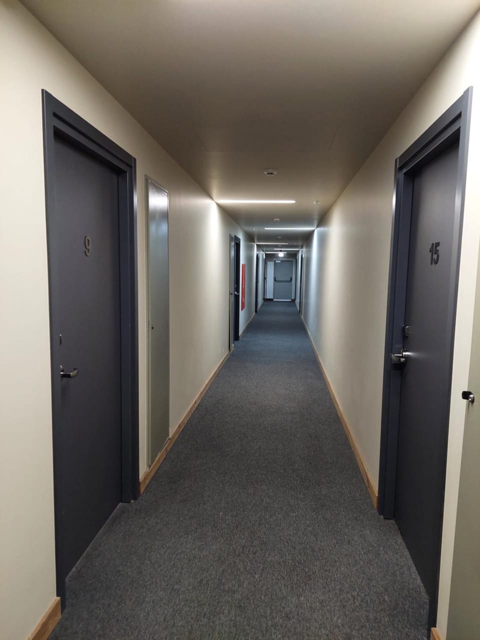 Bakuriani Kokhta-Mitarbi Resort B2 409 Apartment in Georgia