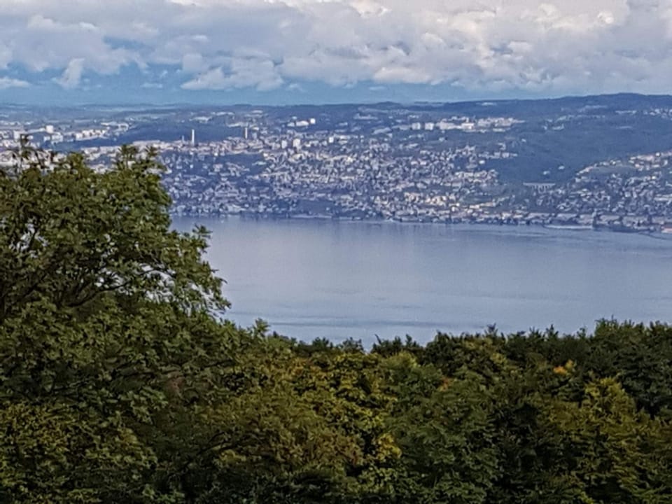 SUPERBE APPARTEMENT T2 3 ETOILES 40m2 PIED DES PISTES VUE SUR LE LAC Apartment in Haute-Savoie
