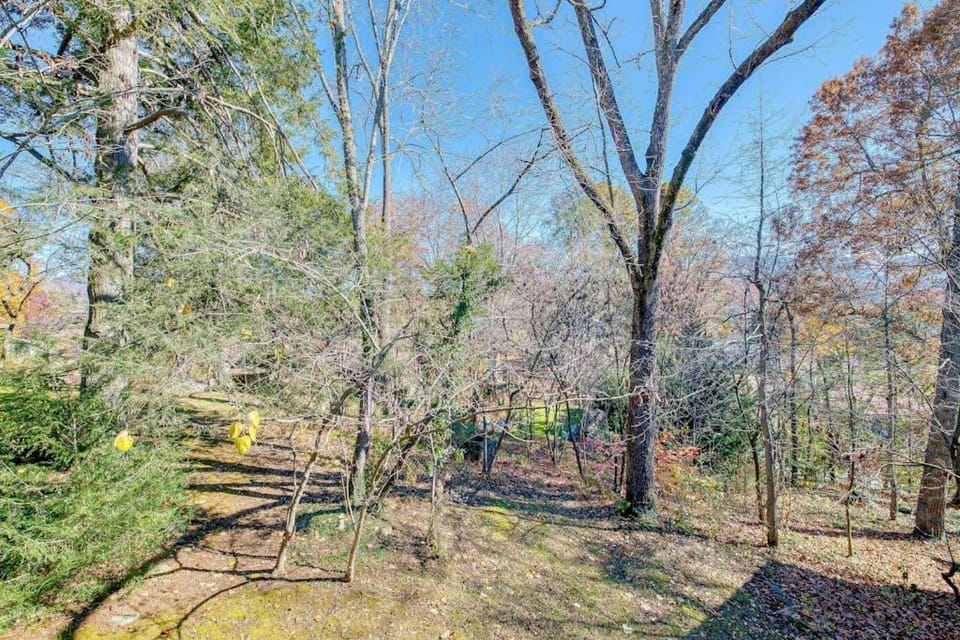 Mountain Peace II House in Lake Junaluska
