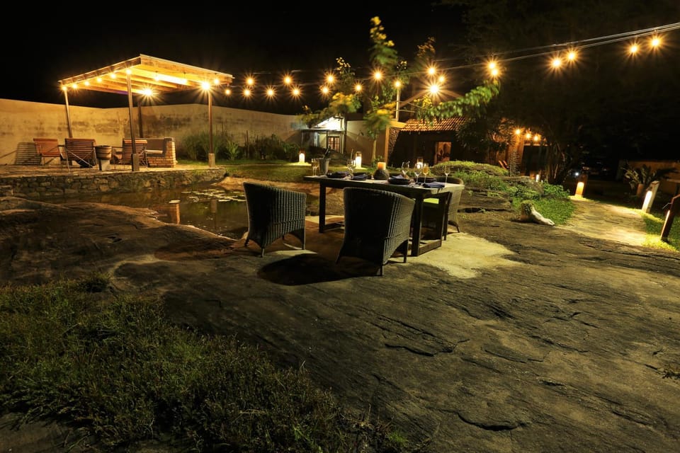 Night, Garden