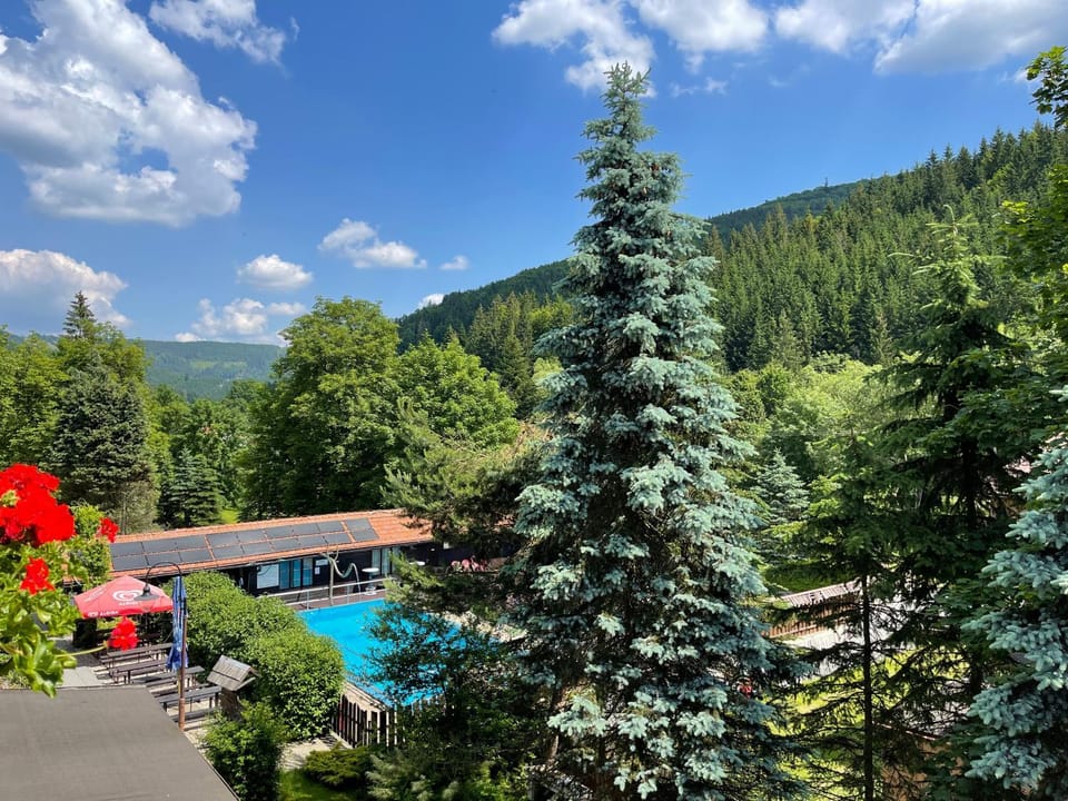 Balcony/Terrace, Mountain view, Pool view, Swimming pool