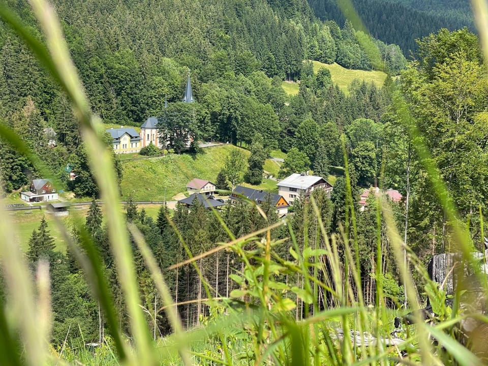View (from property/room)