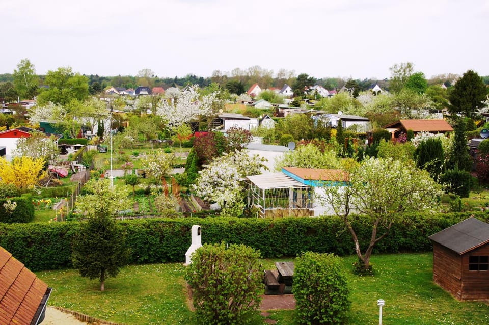 Neighbourhood, Garden