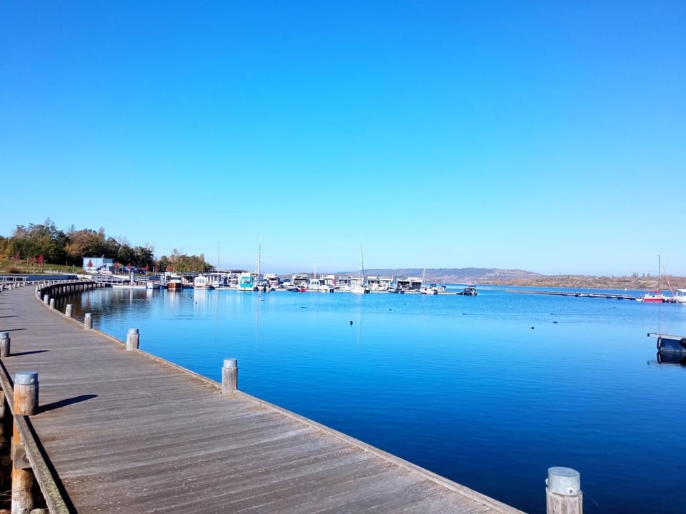 Lake view