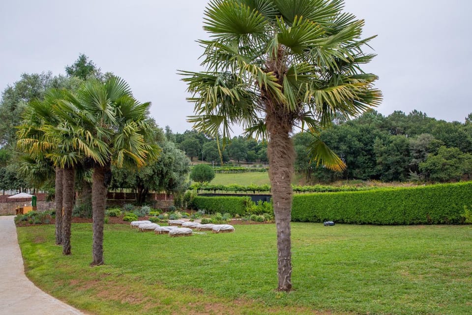 CASA CON ENCANTO (o Refuxio) Bed and Breakfast in Galicia