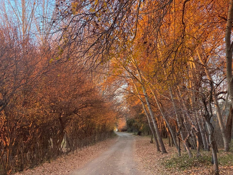 Natural landscape