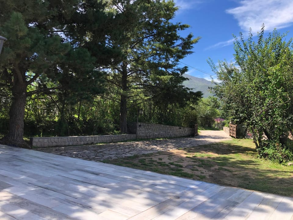 Day, Natural landscape, Garden, Garden view