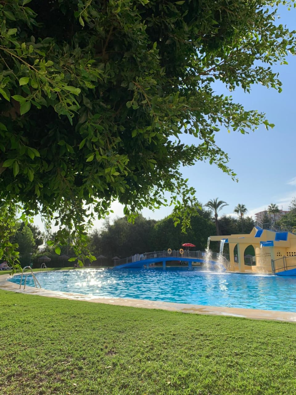 Swimming pool