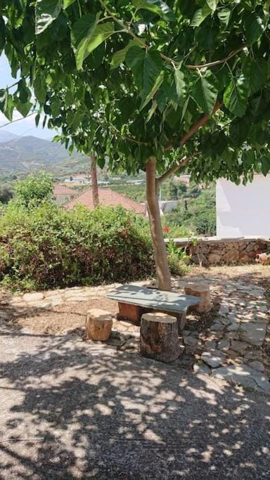 Afrodite's House-Restaurated Oil Factory House in Crete
