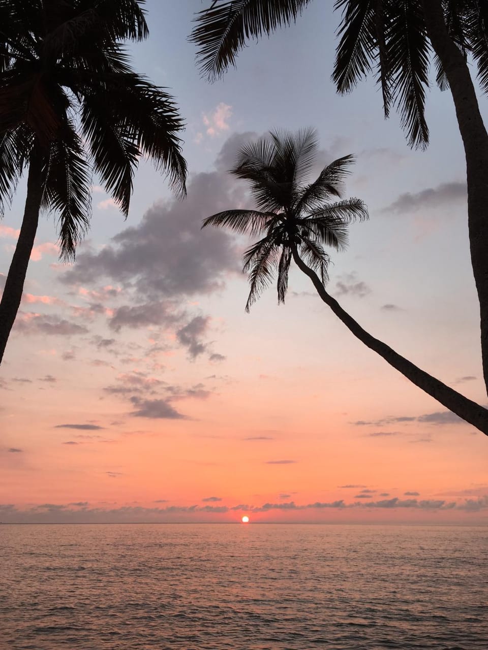 Natural landscape, Beach, Sea view, Sunset