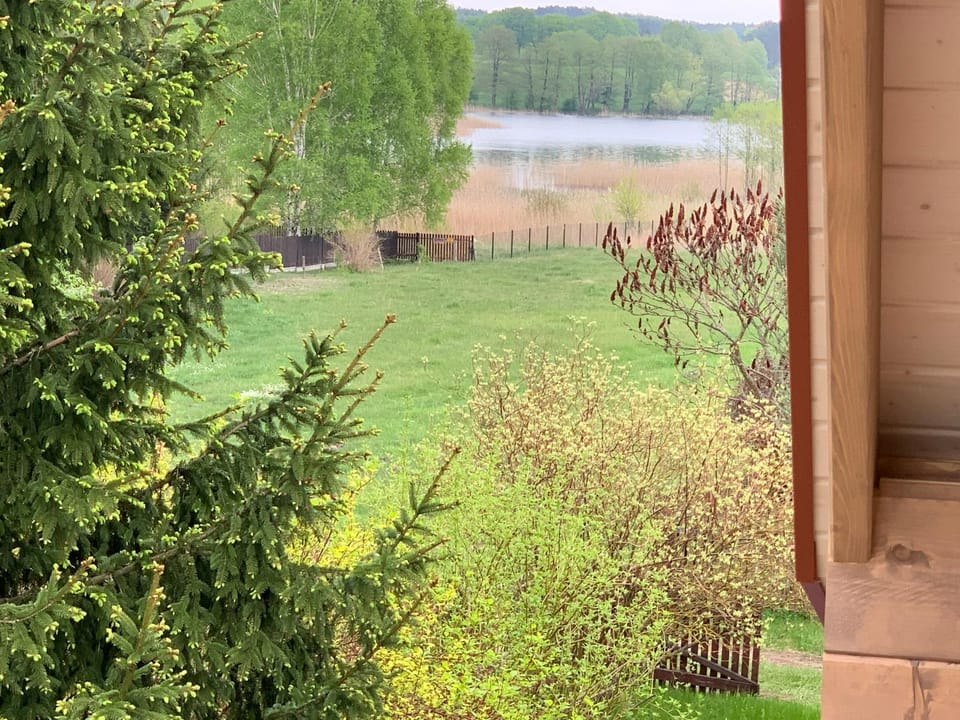 Lake view