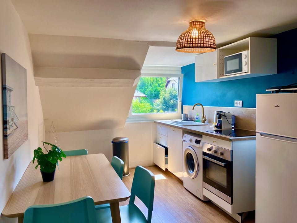 minibar, pet friendly, washing machine, kitchen