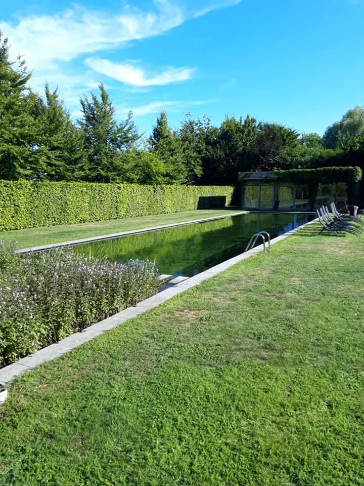 Spa and wellness centre/facilities, Swimming pool