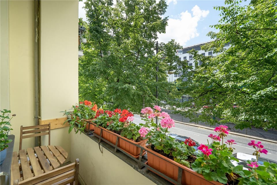 Spring, Day, Balcony/Terrace