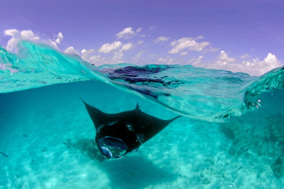 Snorkeling