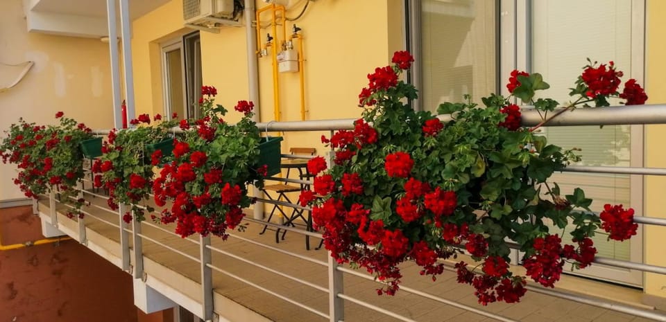 Lotus 3 Apartment in Timisoara