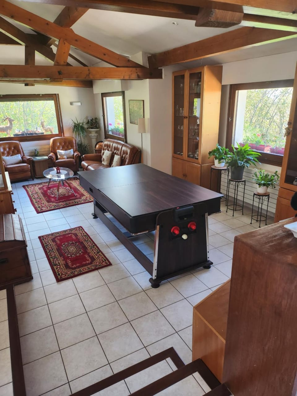 Maison Le Lézard chez Amalia et Fred Vacation rental in Thonon-les-Bains