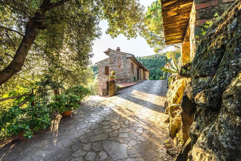 Property building, Day, Natural landscape, Garden view, Street view