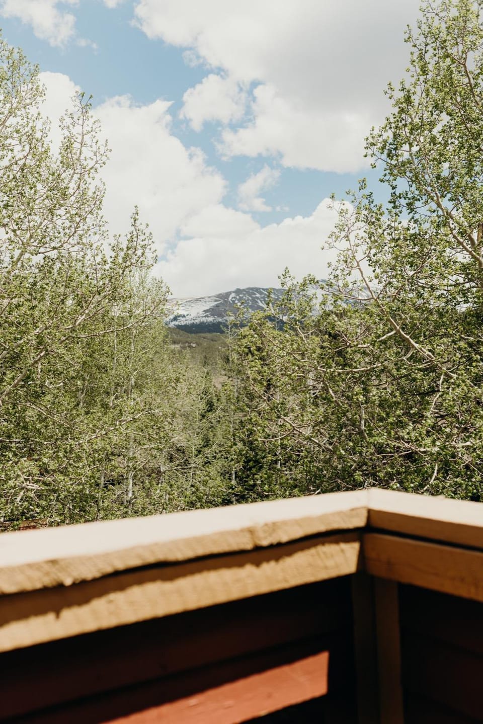 Prime Location | Luxurious condo | .4mi to Main St House in Breckenridge
