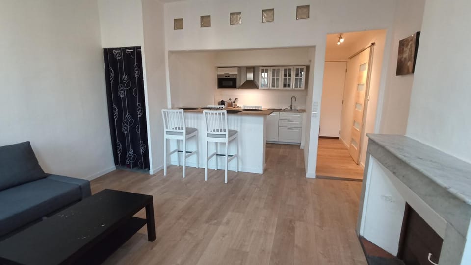 Living room, Lounge or bar, Seating area, flat iron