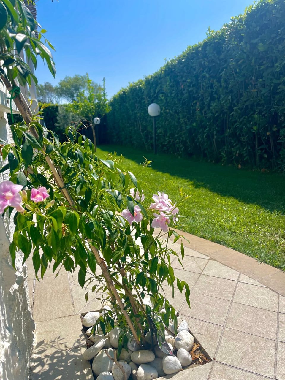 Oasi del Mare… Apartment in Abruzzo