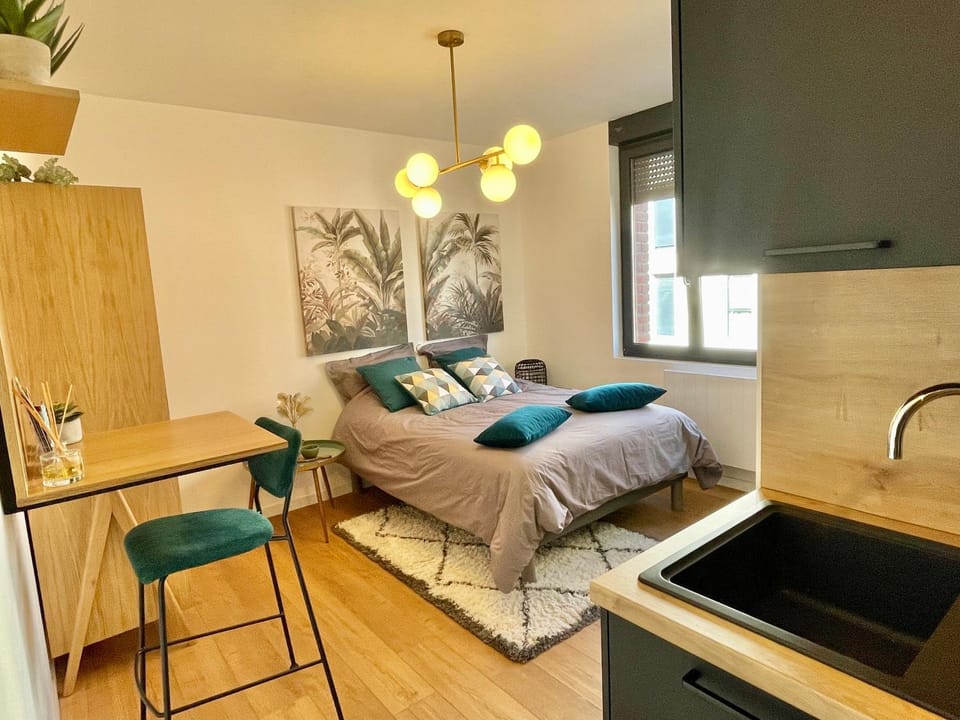 DOWNTOWN COCOON - CENTRE VILLE - WiFi - NETFLIX Apartment in Amiens