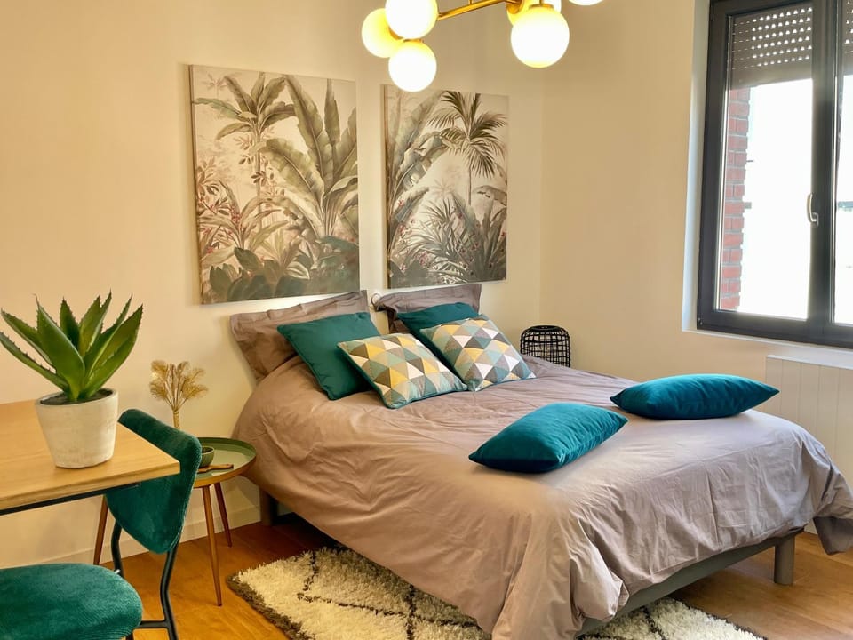 DOWNTOWN COCOON - CENTRE VILLE - WiFi - NETFLIX Apartment in Amiens