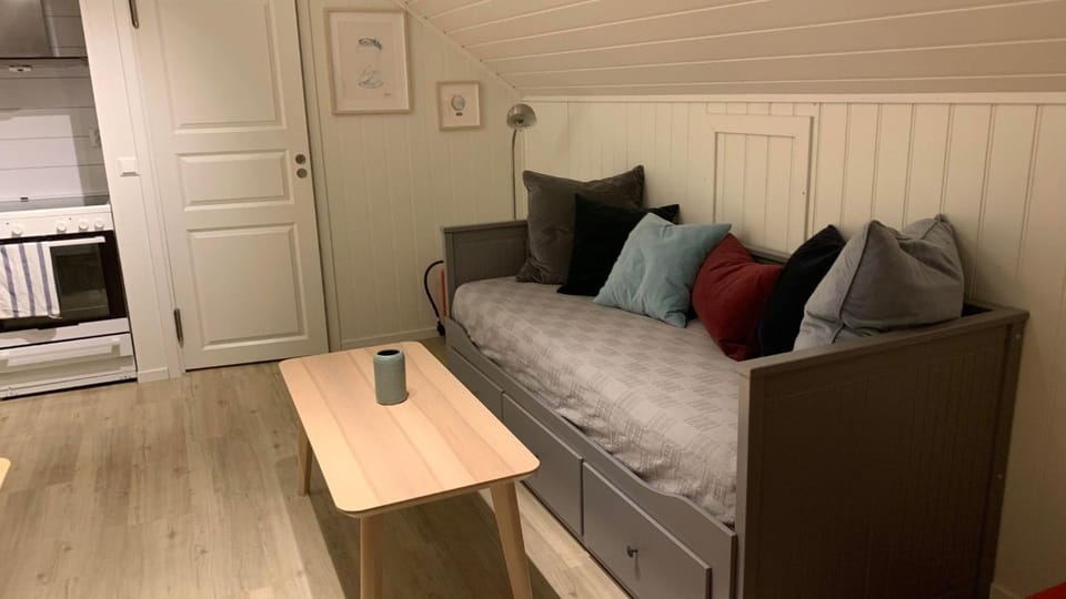 Bright and cozy apartment 1.5km from city centre Apartment in Flam