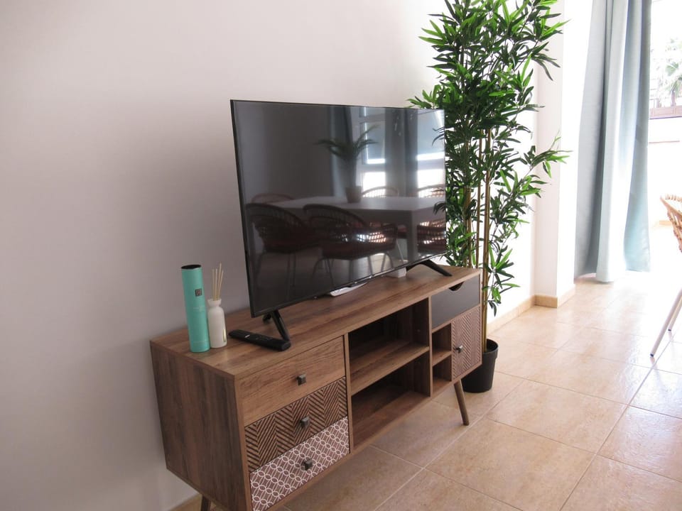 TV and multimedia