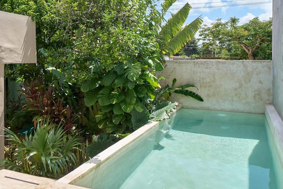 Private House with Pool, 2 Bedrooms, Parking & 2 Free Bikes Villa in State of Quintana Roo
