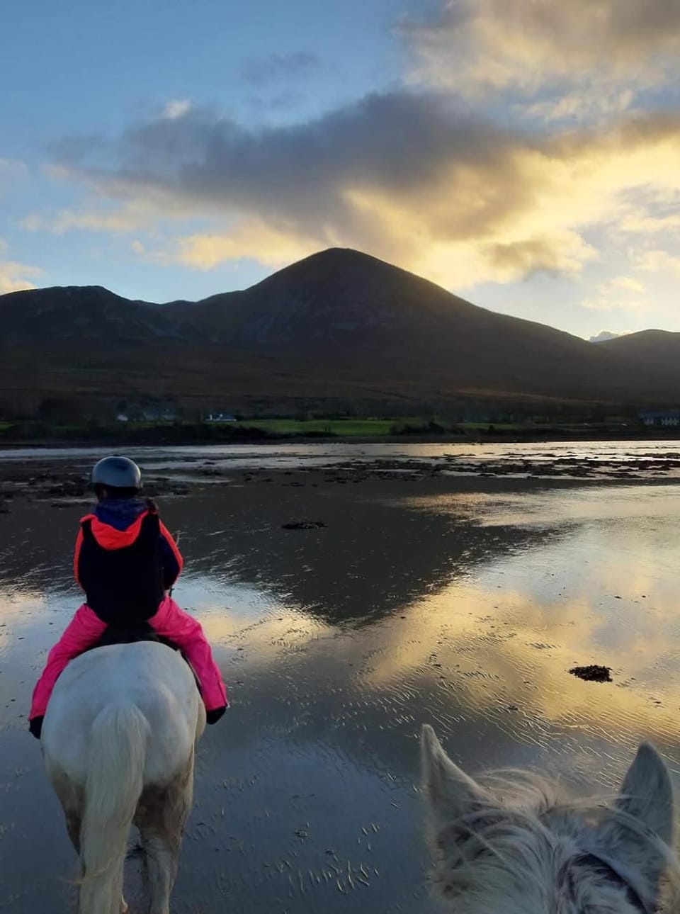 Natural landscape, Horse-riding, Mountain view