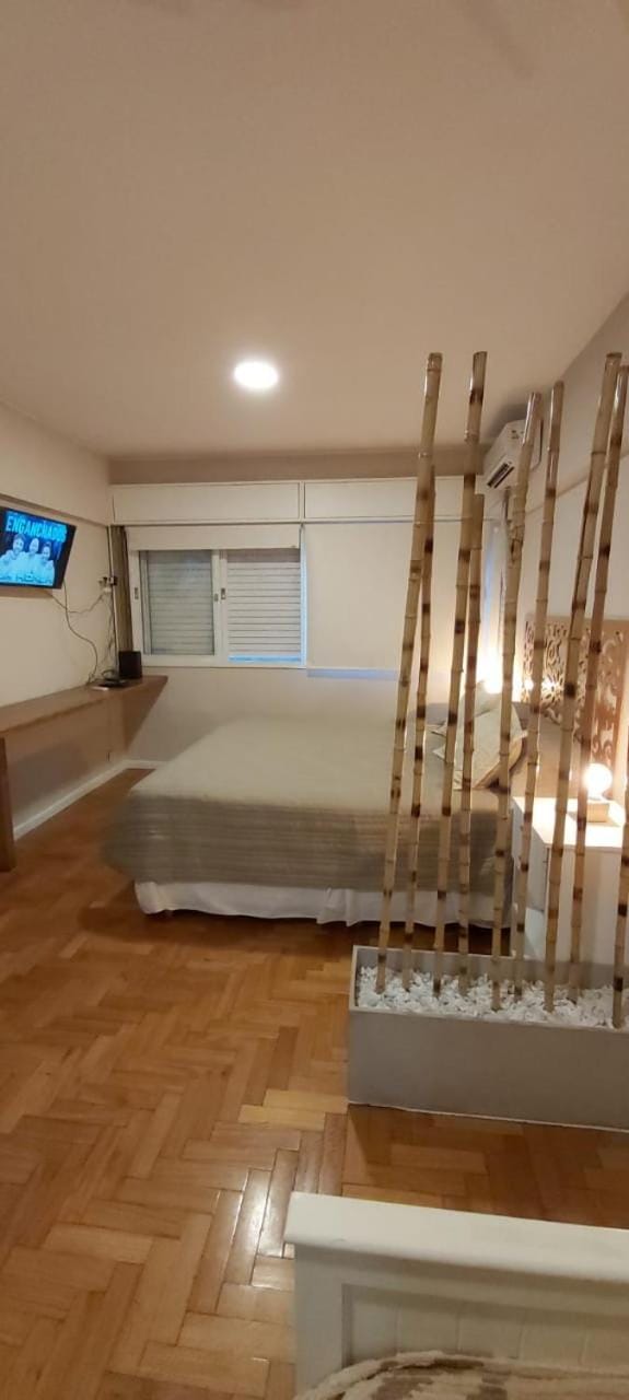 Mzacentro Apartment in Mendoza
