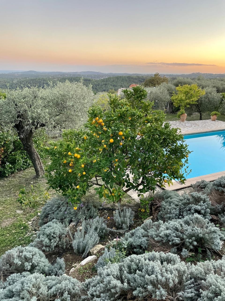 Natural landscape, Garden, Garden view, Pool view, Swimming pool, Sunset
