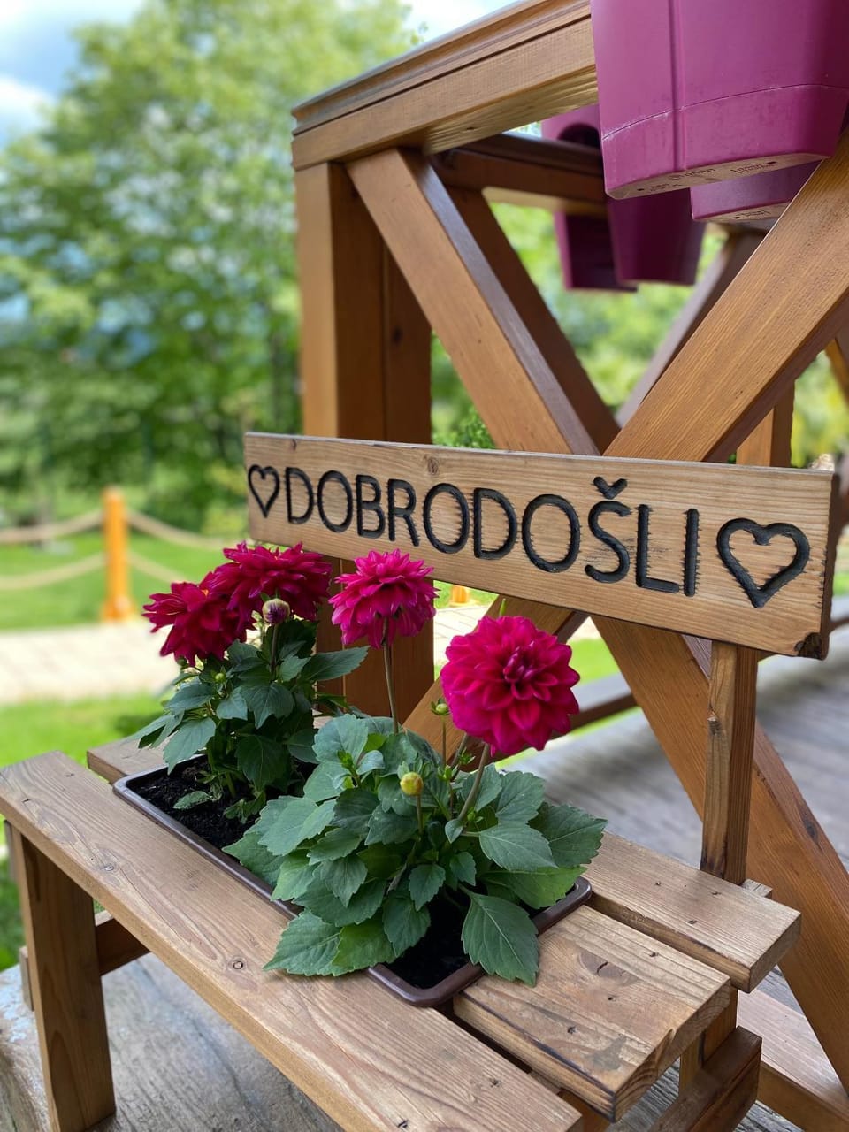 Apartmani Joka i Drvene kucice House in Vojvodina