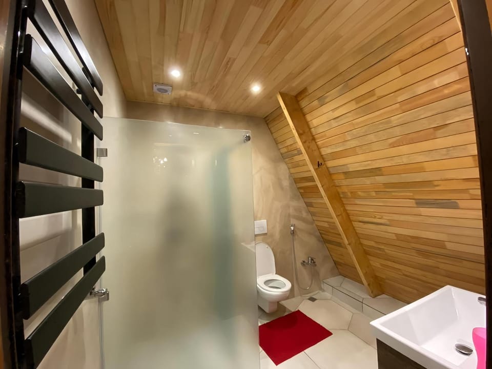 Shower, Toilet, towels
