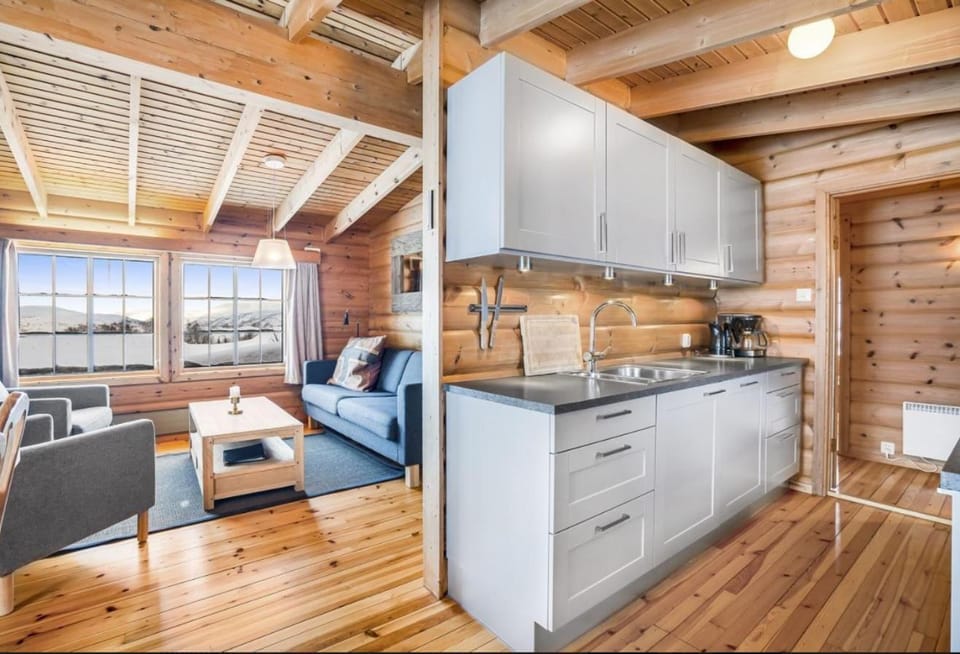 Kitchen or kitchenette, Living room, Seating area, pet friendly, stove