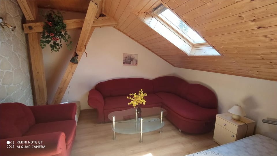 Apartmán v Srní Apartment in Czechia