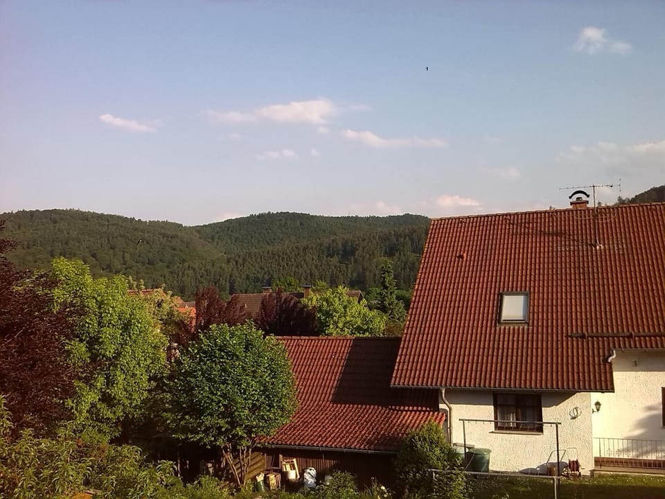 View (from property/room)