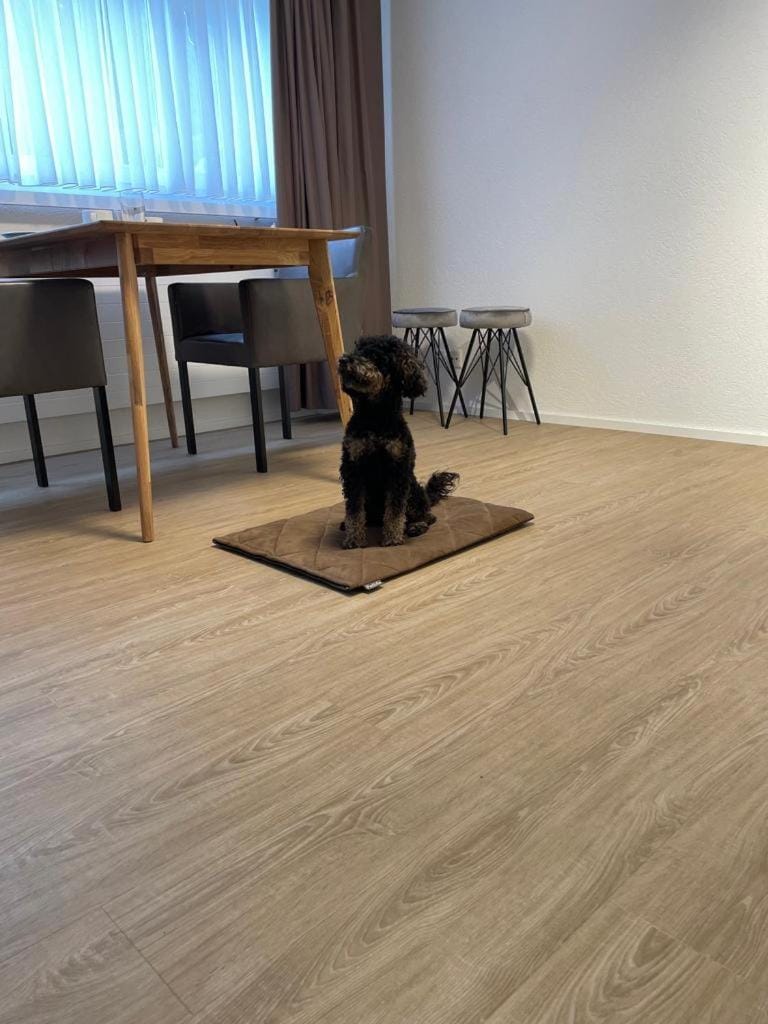Studio Gocki Apartment in Zurich City