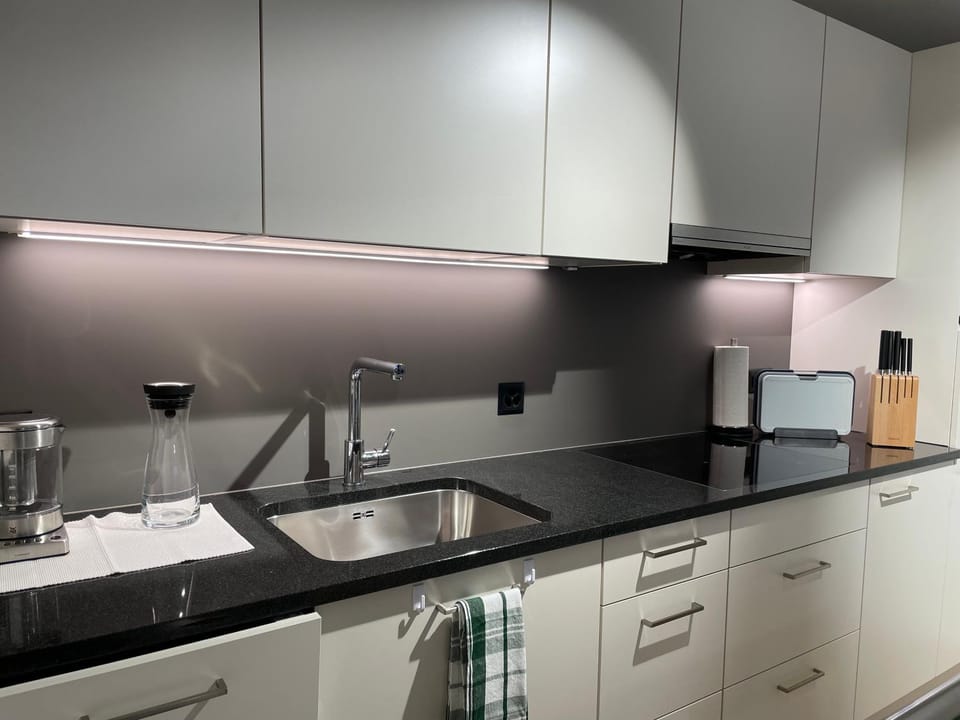 Studio Gocki Apartment in Zurich City