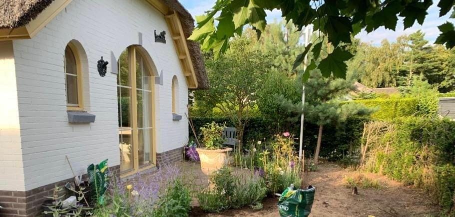 Property building, Spring, Garden view