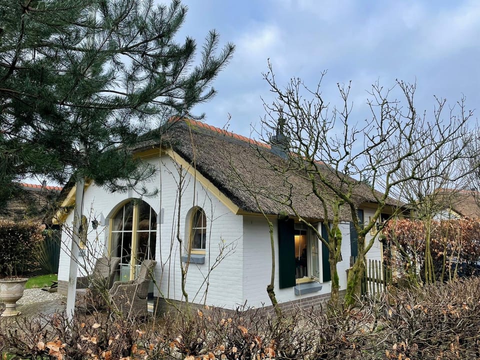 Property building, Day, Garden, Garden view