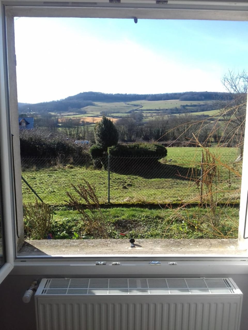 Garden view